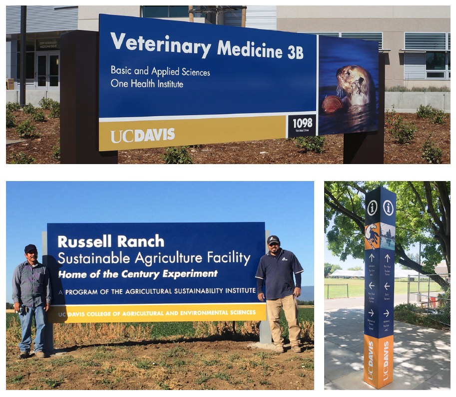 wayfinding examples
