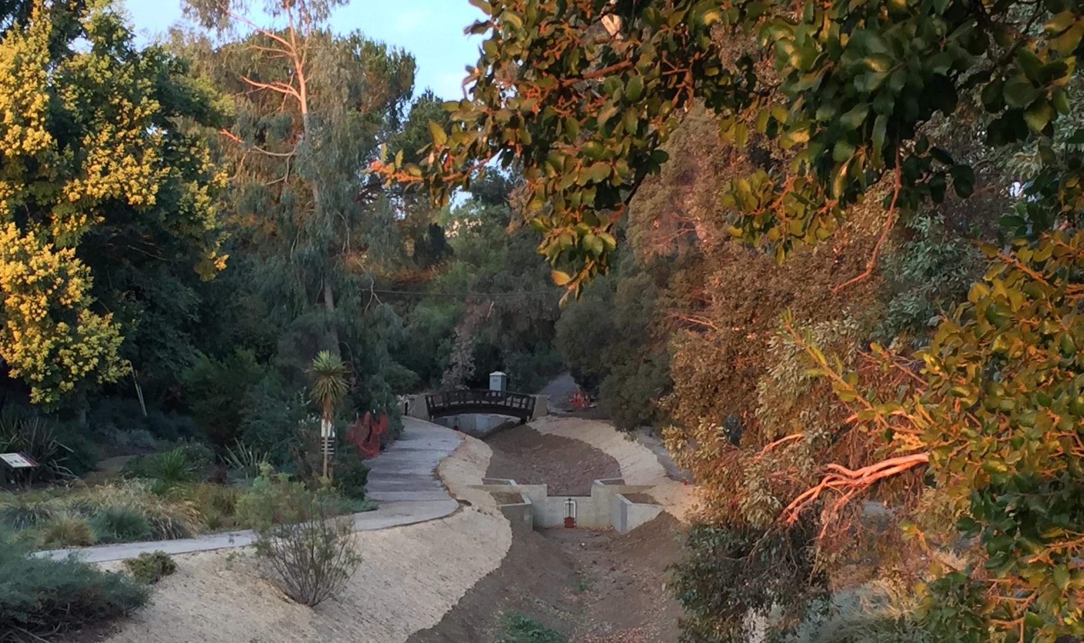 arboretum waterway renovation