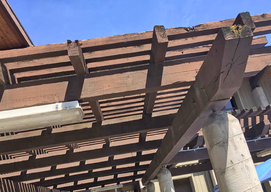 Image of dilapidated pergola.