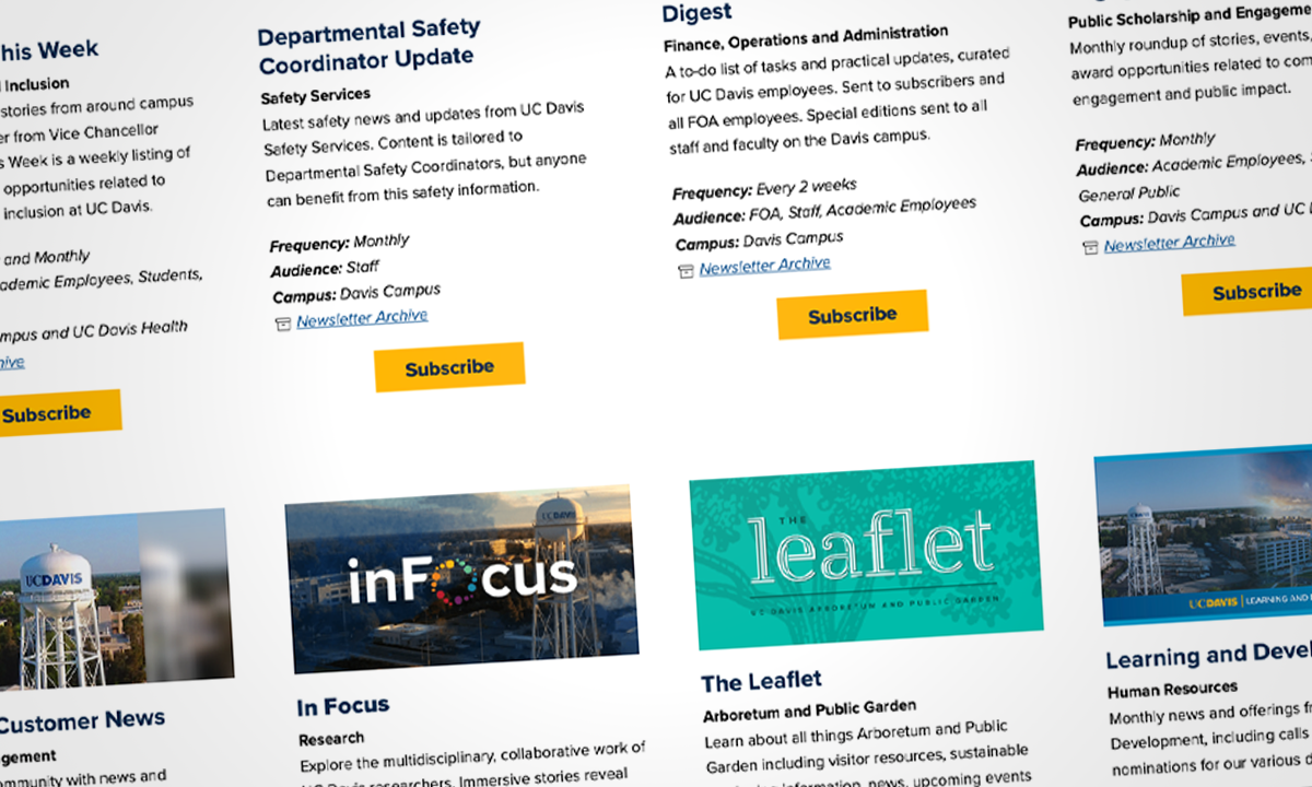 decorative screenshot of subscription webpage