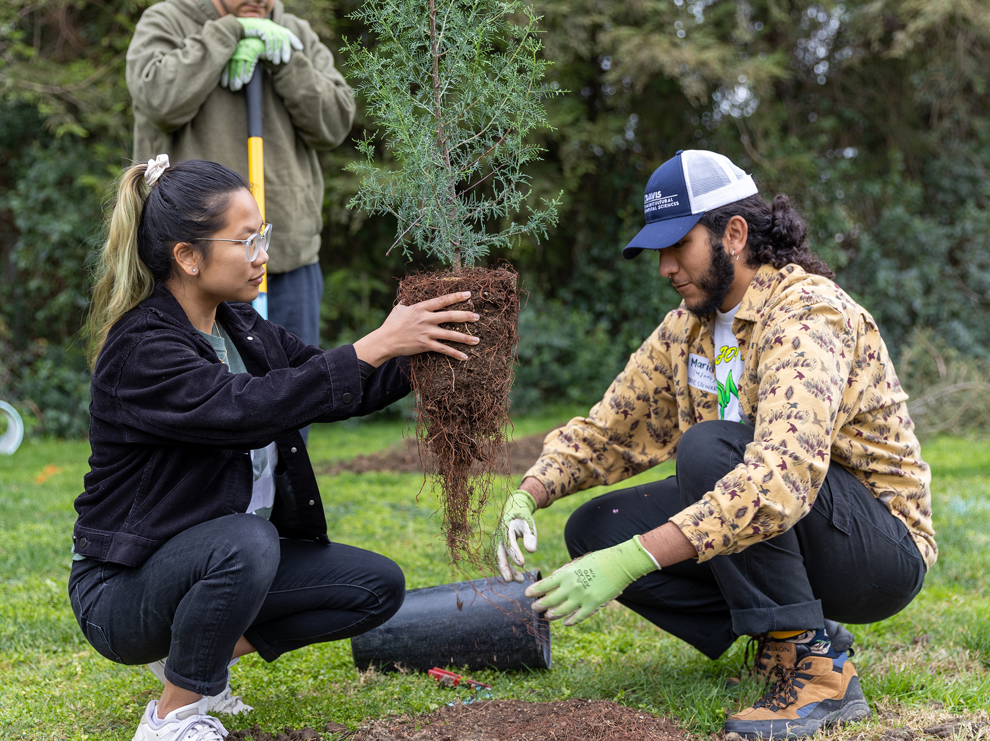 Student interns plant a tree
