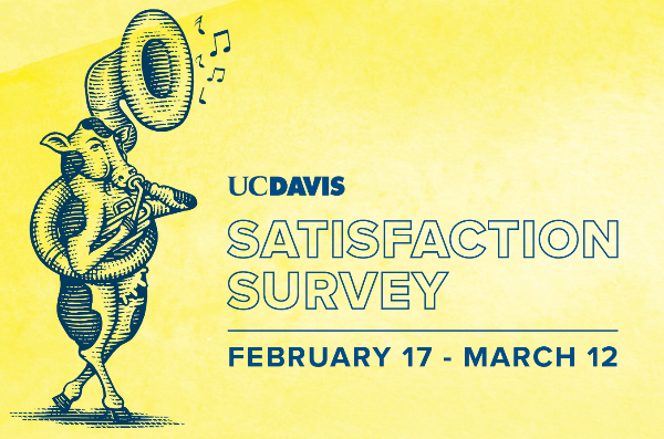 Satisfaction Survey