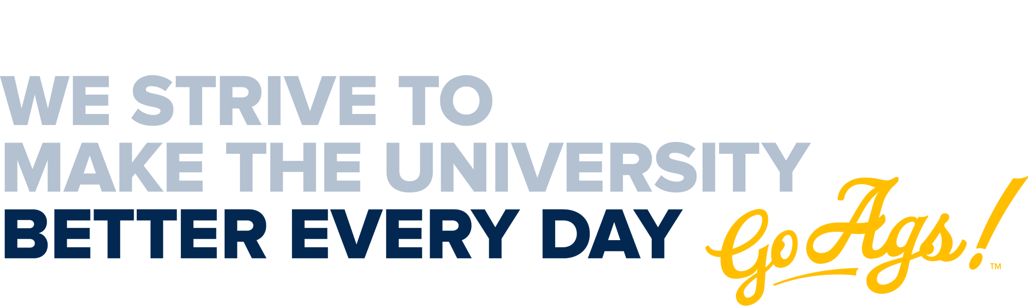 we strive to make the university better every day
