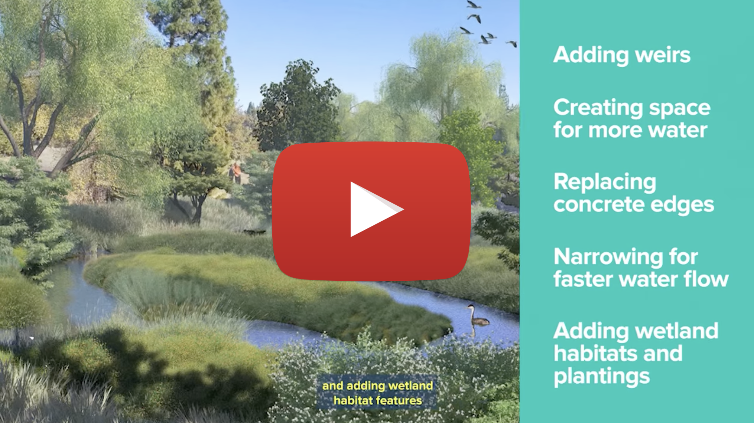 Rendering of Arboretum Waterway enhancement
