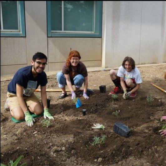 Learning by Leading interns plant landscape outside of Shields Library