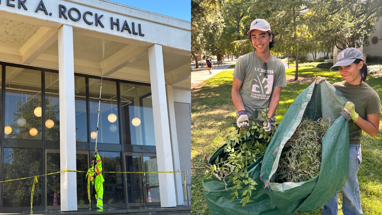 Split photo - left: worker in neon coat at entrance; right: two people carrying tarp of clippings