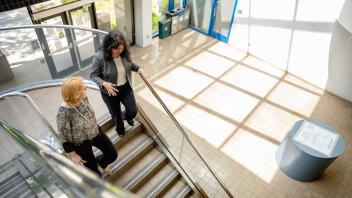 From above, people walking down an airy stairwell with dramatic light