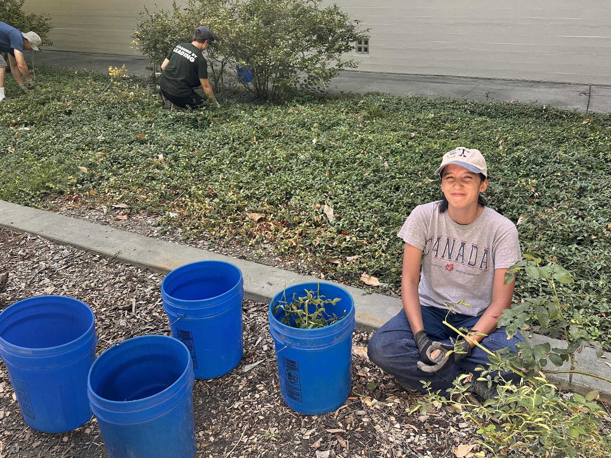 Volunteer kneeling by ivy groundcover, smiling, with blue buckets and pruning shears