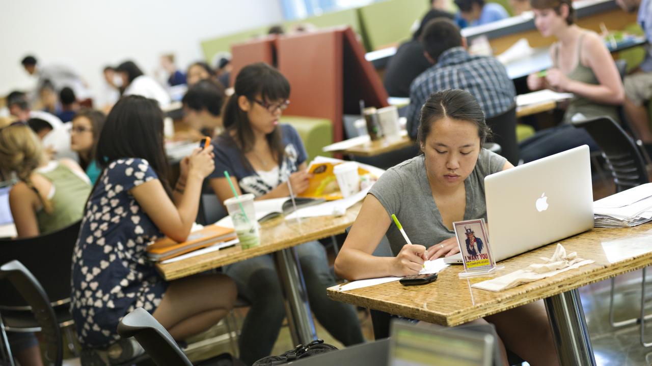 Students studying in the memorial union coffee house. (Photo: UC Regents, all rights reserved) Photo of students in campus coffee house.