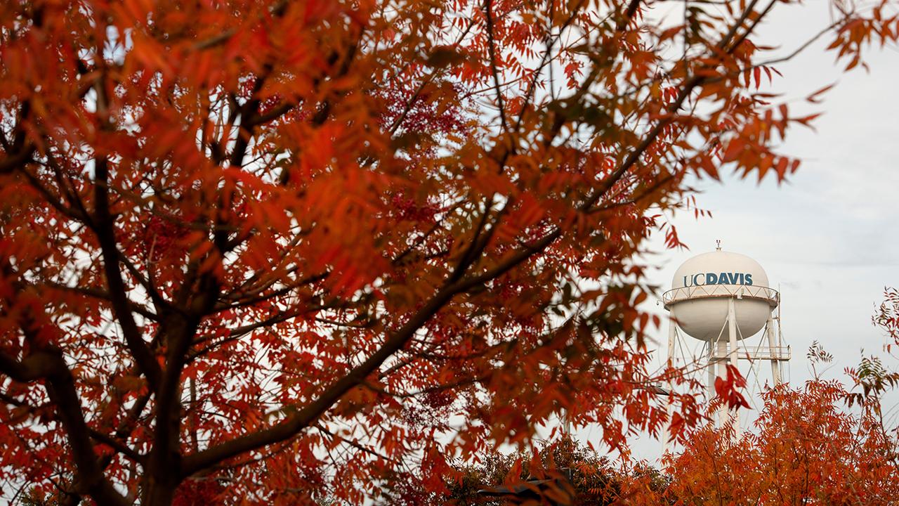 autumn leaves frame the UC Davis water tower with cloudy skies