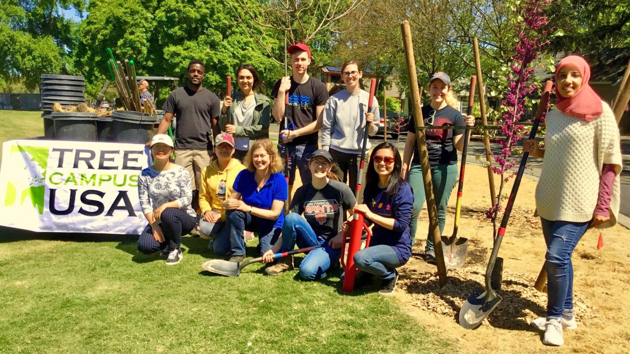 Image of tree planting on the east side of campus.