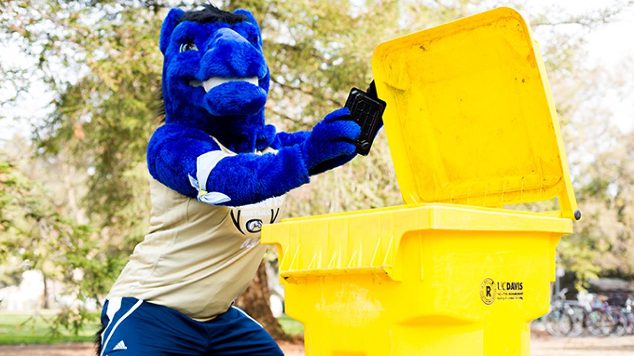 Image of Gunrock composting.