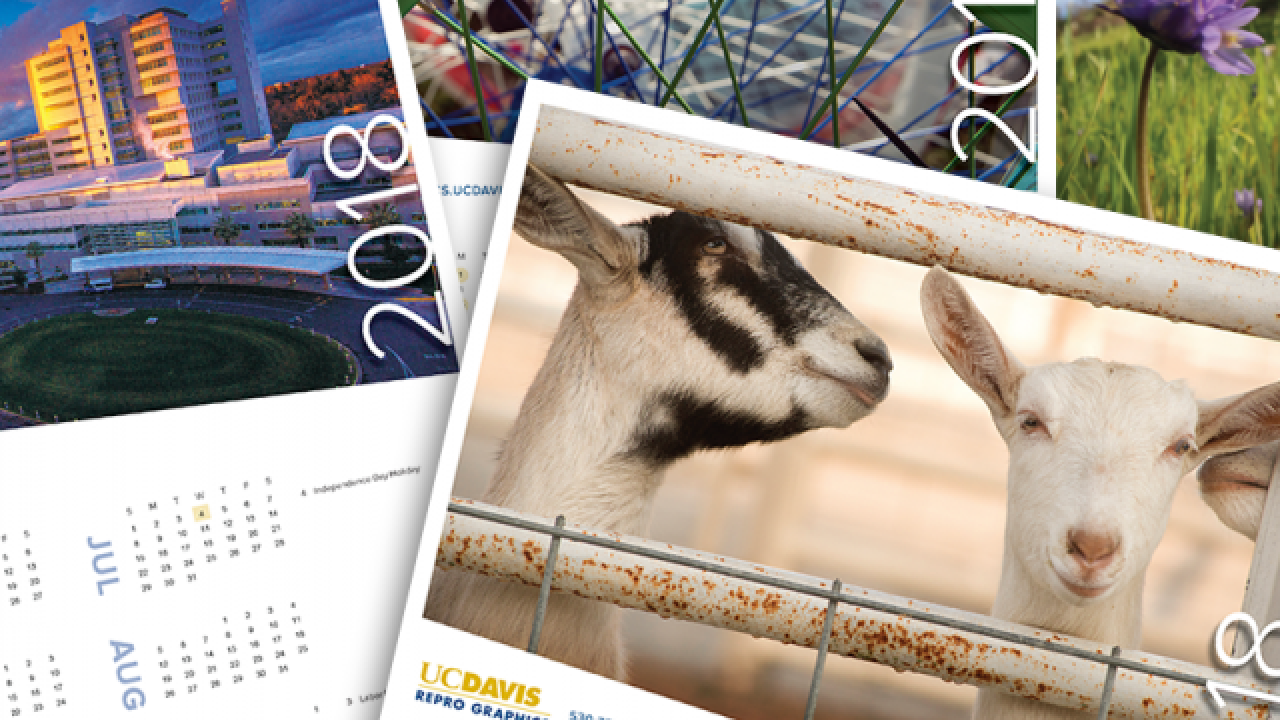 photo of Calendar 