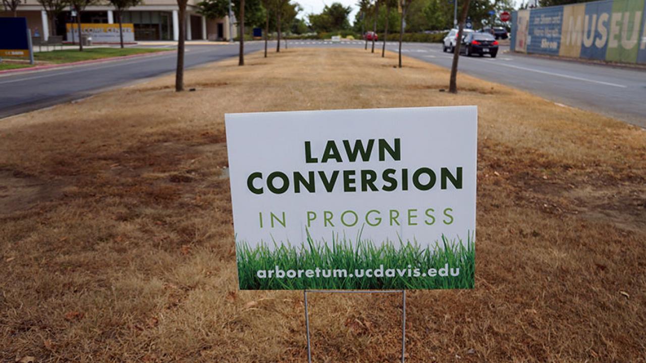Photo of lawn conversion sign.
