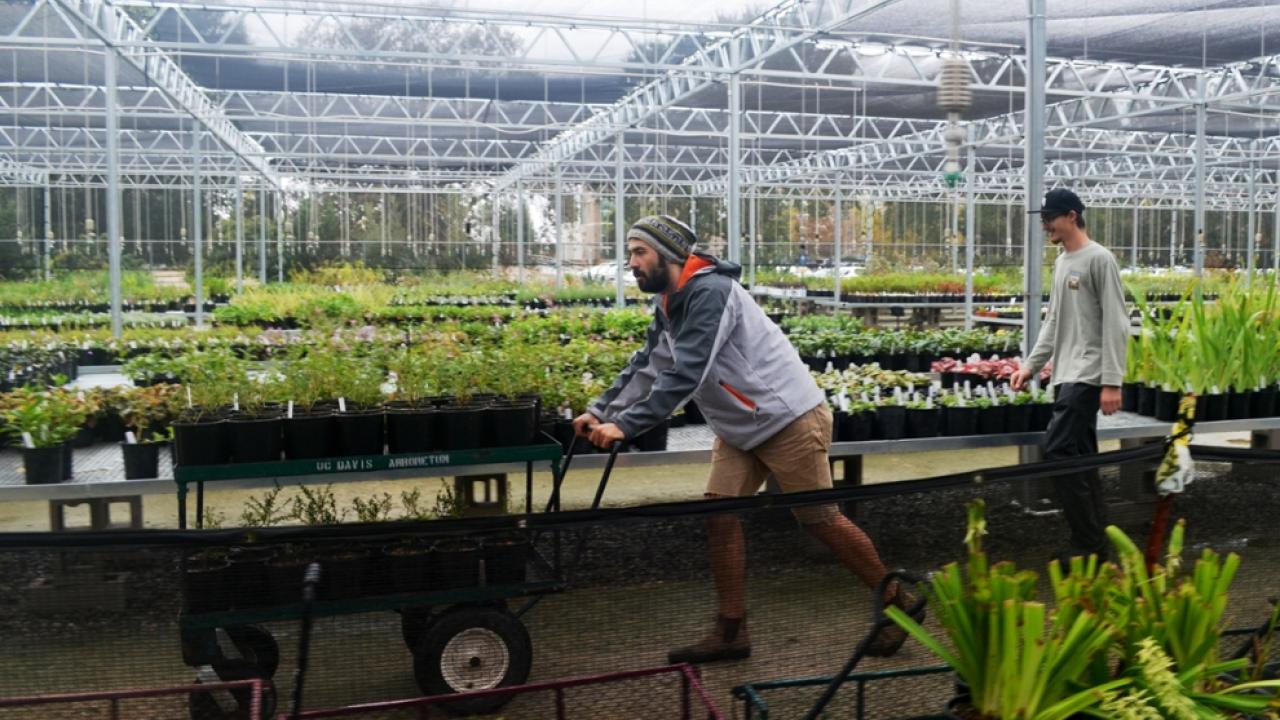 Student pushing cart in nursery.