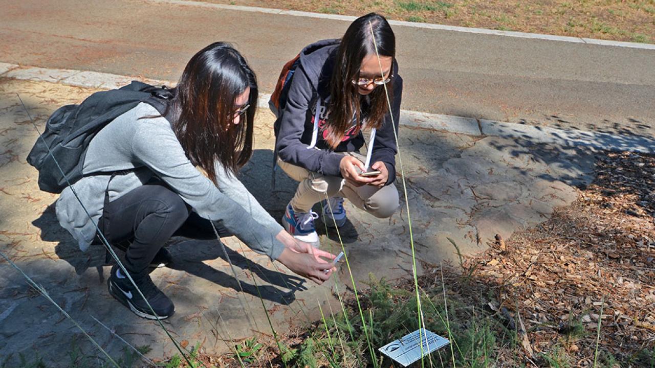 Photo of students in the Arboretum