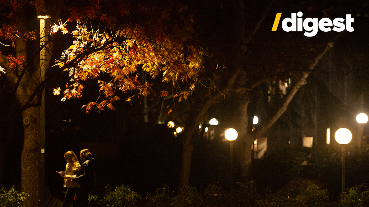 Two students and fall foliage illuminated by a street light on campus after dark.