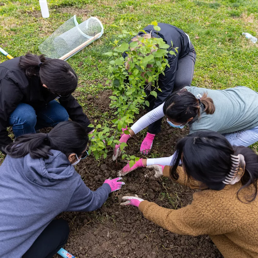 students planting trees