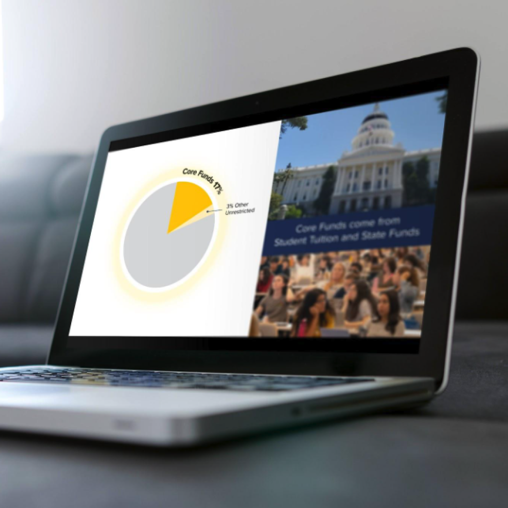 decorative image - laptop screen displaying pie chart