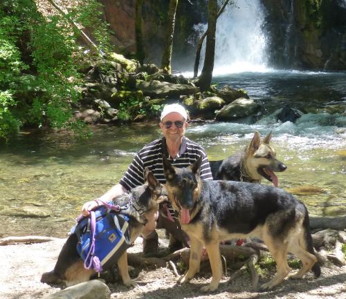 Carl Seymour with his 3 dogs