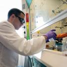 Photo of student working in laboratory.