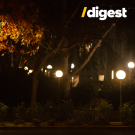 Two students and fall foliage illuminated by a street light on campus after dark.