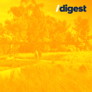 /digest - Two people walk by the Arboretum GATEway Garden along the Davis Reflection Route.