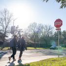 walkers on a crosswalk approach a stop sign with vehicles nearby 