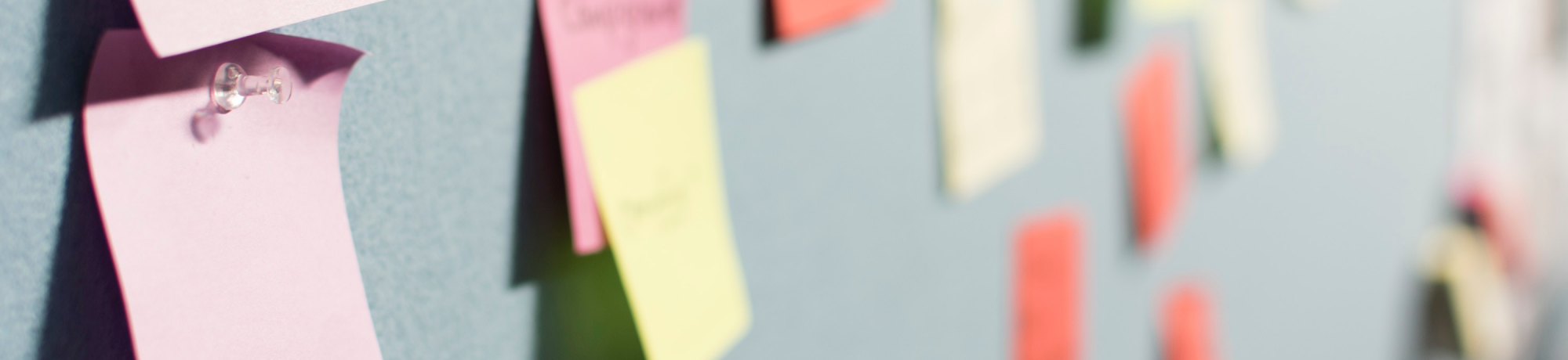 wall of colorful post-it notes