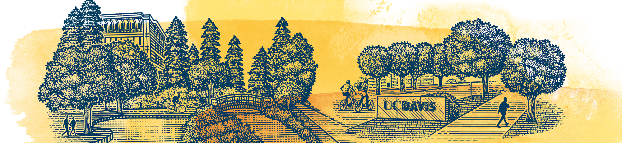 decorative image - mrak hall and the uc davis arboretum